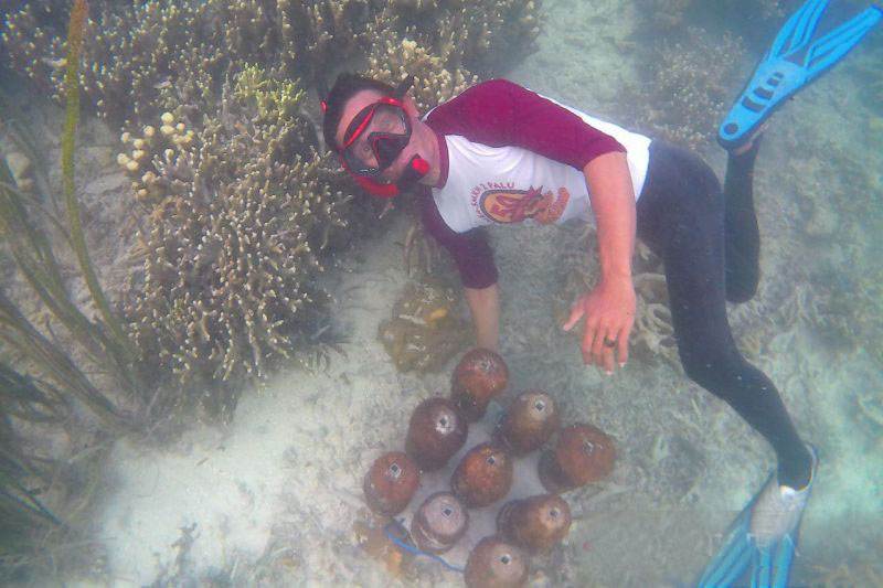 Warga pulau di Touna budi daya terumbu karang dari tempurung kelapa Warga pulau di Touna budi daya terumbu karang dari tempurung kelapa
