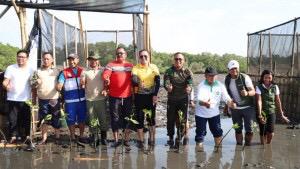 Kodim 1611/Badung tanam 2.000 mangrove Kodim 1611/Badung tanam 2.000 mangrove