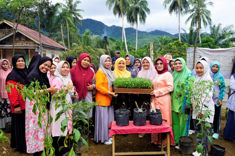 Pemkab Pasaman Barat salurkan bibit cabai kepada kelompok wanita tani Pemkab Pasaman Barat salurkan bibit cabai kepada kelompok wanita tani