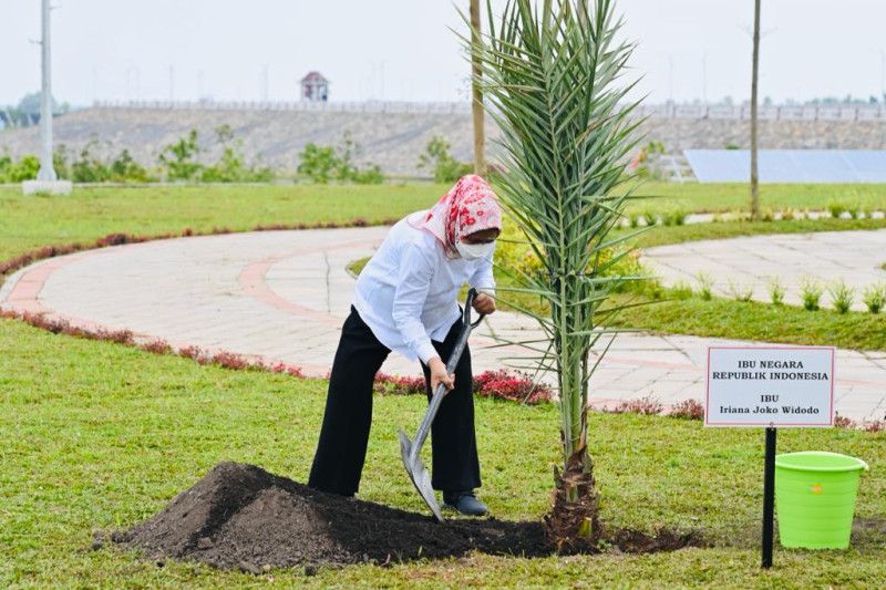 Presiden Jokowi dan Ibu Iriana tanam kurma di Bendungan Semantok Presiden Jokowi dan Ibu Iriana tanam kurma di Bendungan Semantok