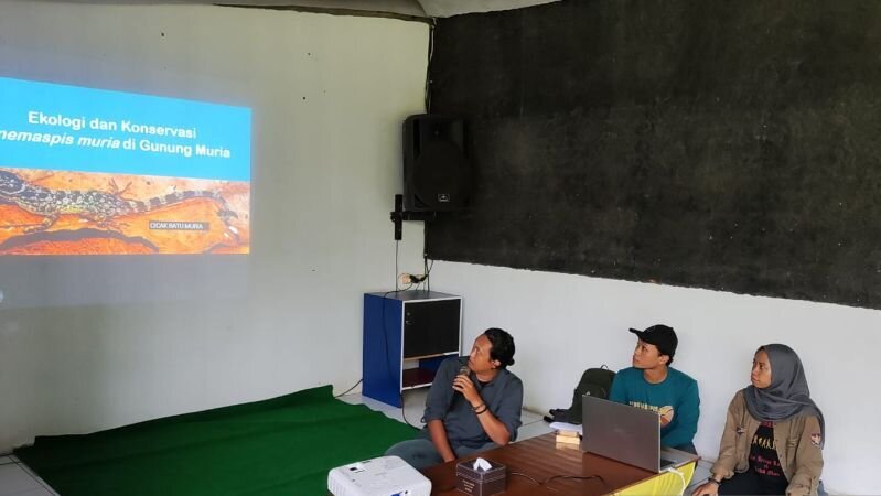 Pemkab Kudus apresiasi temuan spesies endemik cicak batu muria Pemkab Kudus apresiasi temuan spesies endemik cicak batu muria