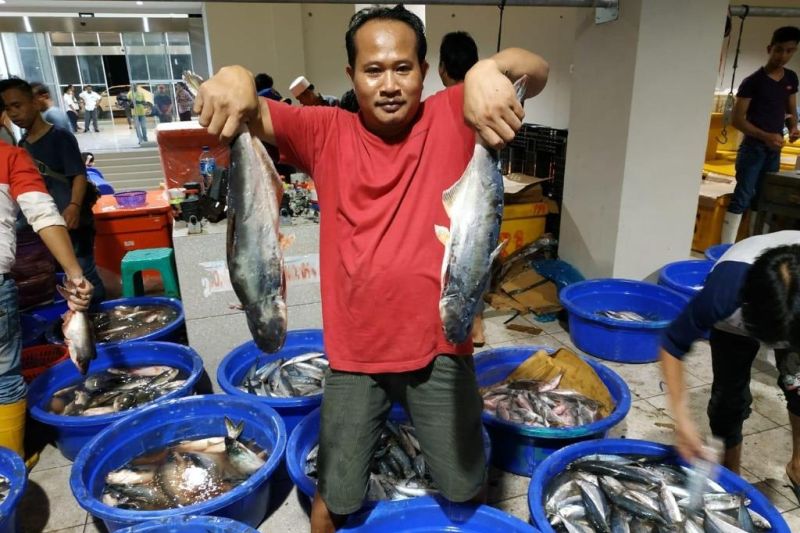 PT Perikanan Indonesia pastikan stok ikan aman hadapi Natal-Tahun Baru