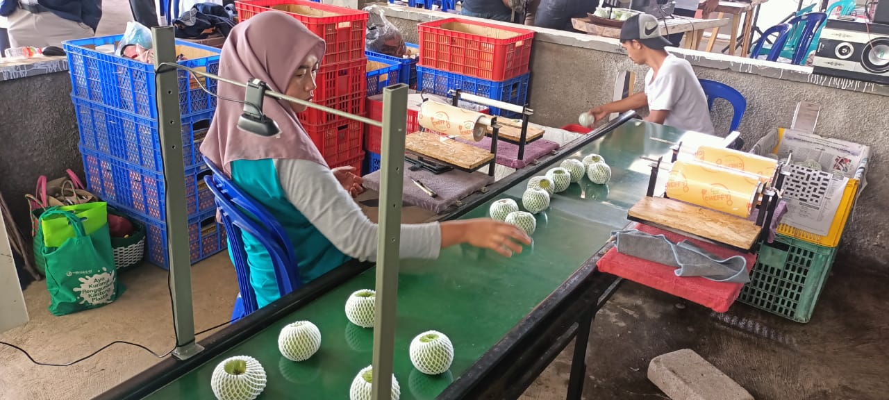Petani muda Batu dikenalkan IOT pertanian Petani muda Batu dikenalkan IOT pertanianÂ