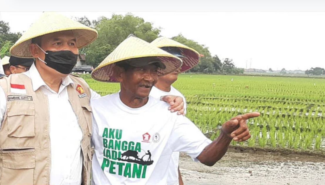 Pengamat kritik rencana impor beras pemerintah dari Vietnam Pengamat kritik rencana impor beras pemerintah dari Vietnam