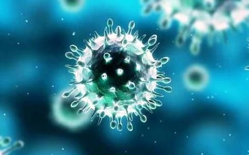 Satgas: Kasus positif COVID-19 bertambah 57.049 orang