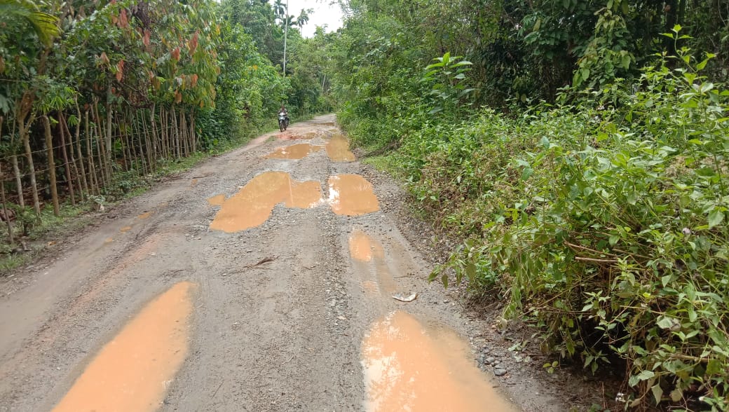 Ini penjelasan Pemkab Aceh Utara soal jalan rusak di Tanah Luas Ini penjelasan Pemkab Aceh Utara soal jalan rusak di Tanah Luas