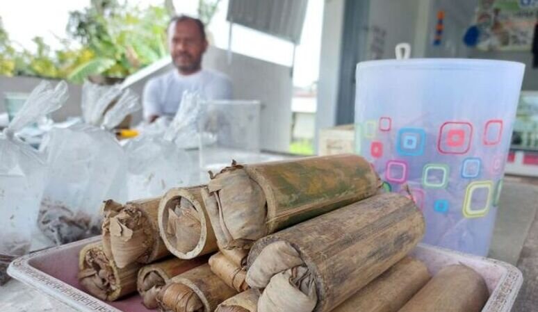 Masyarakat Kalimantan Selatan budidayakan ulat bumbung