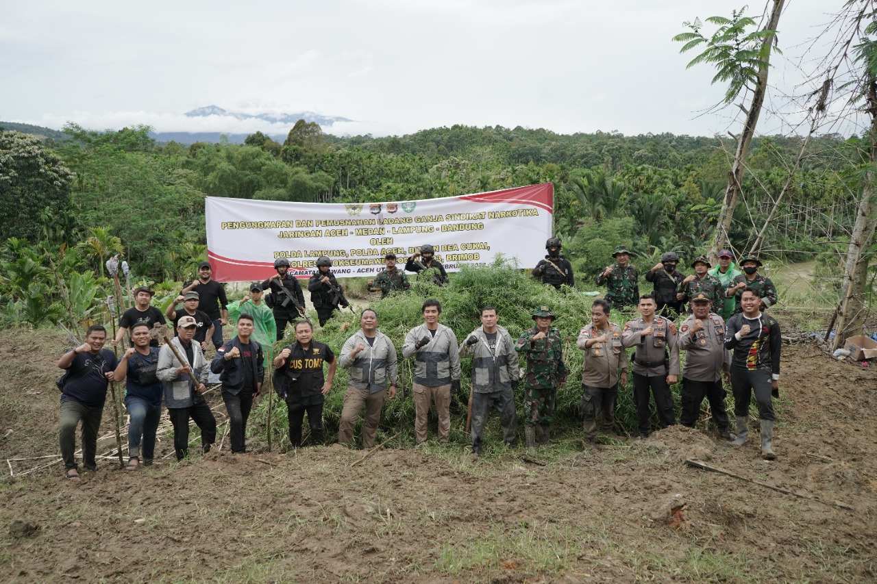 Hasil pengembangan, 40,3 ton ganja dimusnahkan polisi Hasil pengembangan, 40,3 ton ganja dimusnahkan polisi
