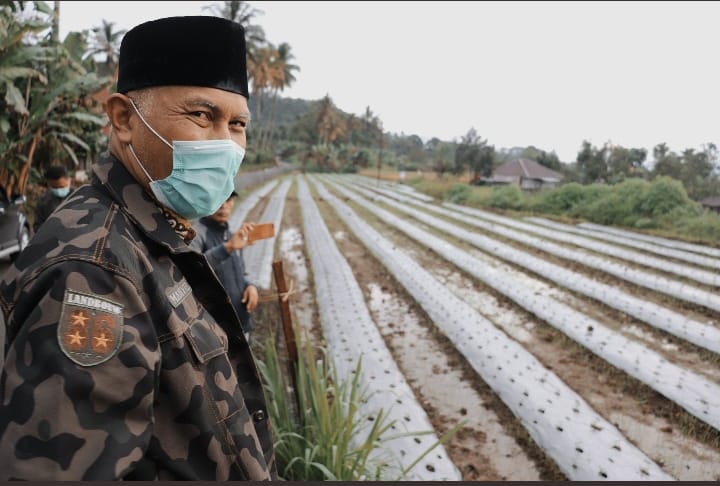 Gubernur Sumbar dorong petani gunakan pupuk organik Gubernur Sumbar dorong petani gunakan pupuk organik