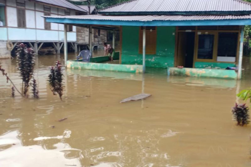 1.407 rumah warga tergenang akibat banjir di Bengkulu