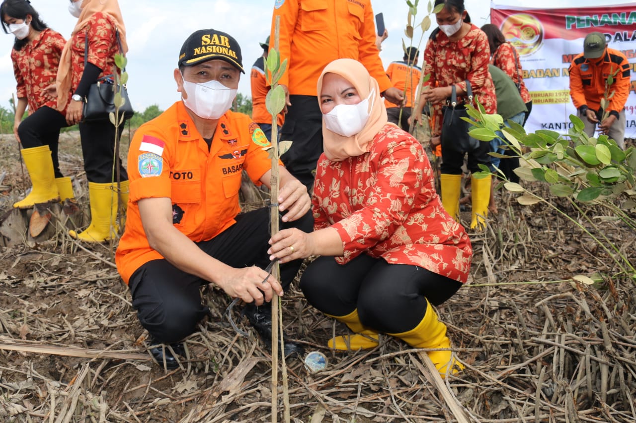 Menyambut HUT Basarnas ke 50, Basarnas Medan lakukan penanaman mangrove Menyambut HUT Basarnas ke 50, Basarnas Medan lakukan penanaman mangrove