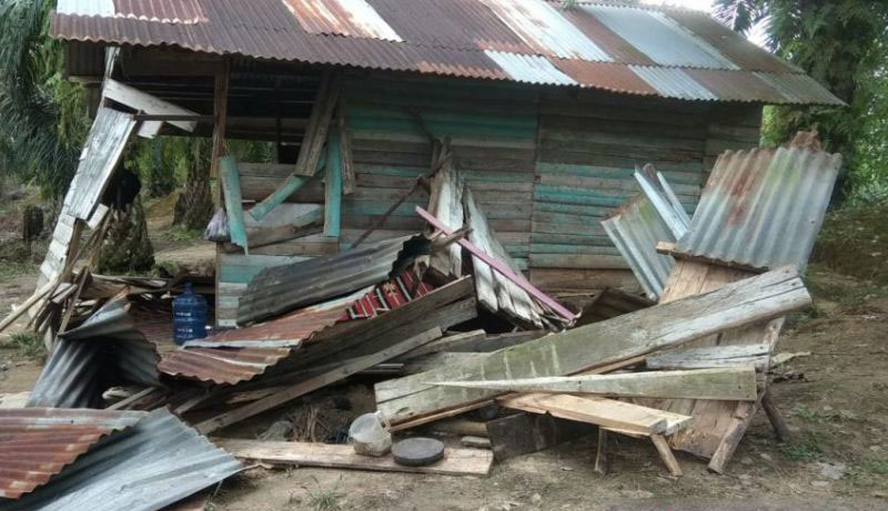 Tiga rumah warga Kampar di rusak gajah liar Tiga rumah warga Kampar di rusak gajah liar