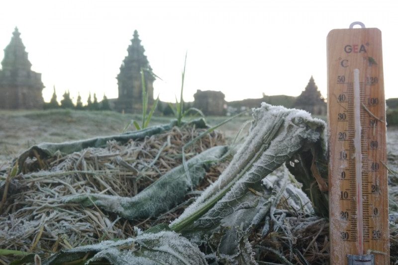 BMKG: Anomali cuaca picu embun upas di Dieng saat musim hujan BMKG: Anomali cuaca picu embun upas di Dieng saat musim hujan
