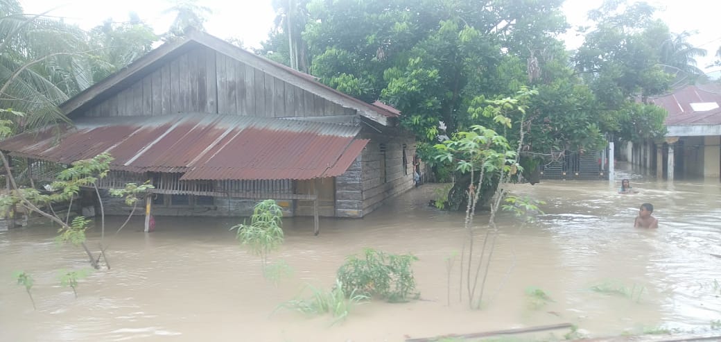 Banjir di Kabupaten Aceh Utara meluas: BPBD terus evarkuasi warga