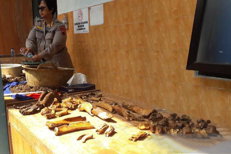 Temuan tulang pada pembangunan Puskesmas Pringsurat gegerkan warga Temuan tulang pada pembangunan Puskesmas Pringsurat gegerkan warga