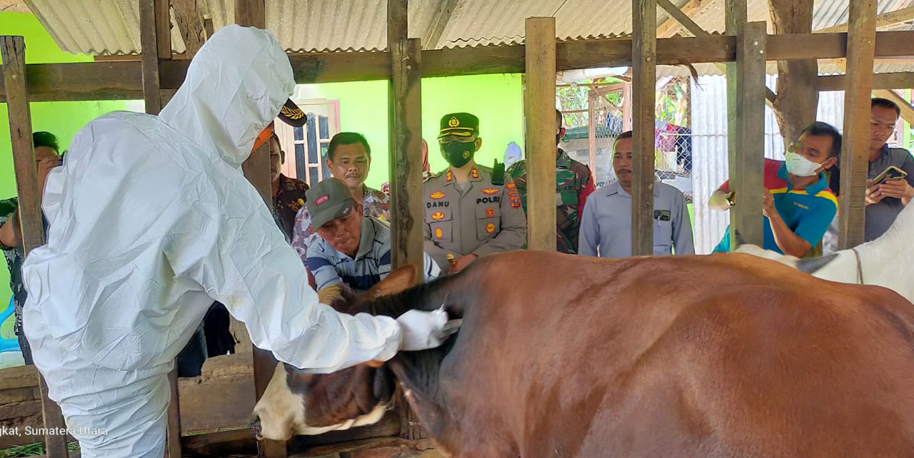 Cegah PMK, Polsek Sejajaran Polres Langkat gencar laksanakan DDS Cegah PMK, Polsek Sejajaran Polres Langkat gencar laksanakan DDS