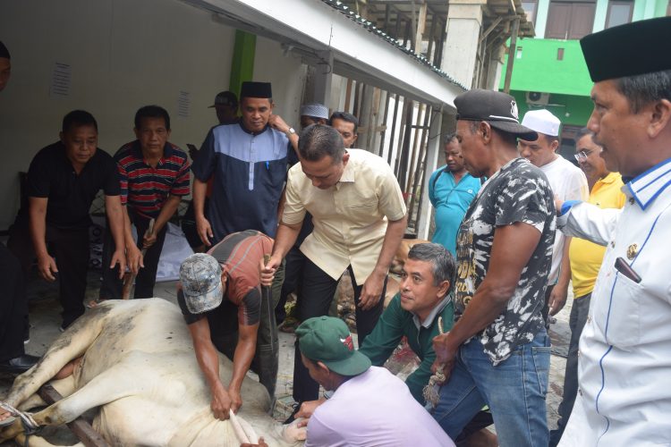Wagubsu hadiri penyembelihan hewan kurban di Kemenag Medan Wagubsu hadiri penyembelihan hewan kurban di Kemenag Medan