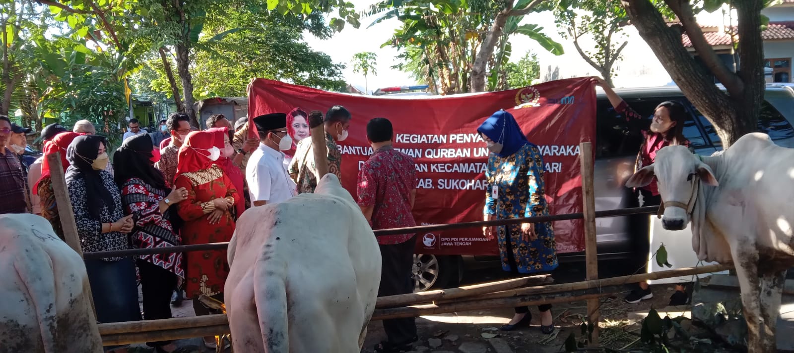 DPC PDI Perjuangan Sukoharjo terima enam ekor sapi kurban dari Ketua DPR RI DPC PDI Perjuangan Sukoharjo terima enam ekor sapi kurban dari Ketua DPR RI