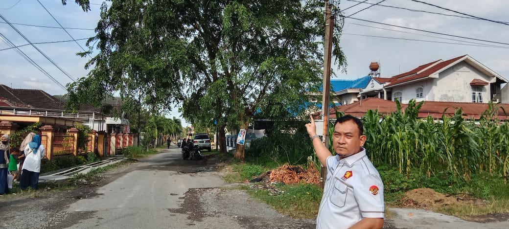 Khawatir timbul korban, legislator minta DKP Kota Medan potong pohon di Jermal IV Khawatir timbul korban, legislator minta DKP Kota Medan potong pohon di Jermal IV