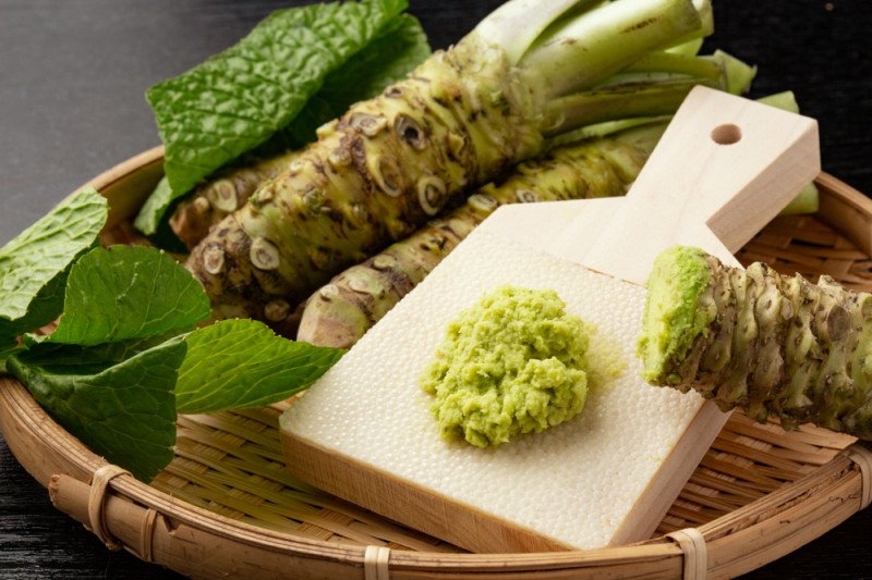 Petani wasabi Jepang khawatir akan masa depan akibat perubahan iklim
