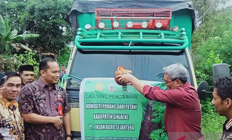 Sebanyak 10 ton porang milik petani Sinjai siap diekspor Sebanyak 10 ton porang milik petani Sinjai siap diekspor