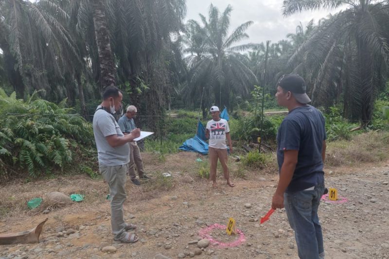 Polres Pasaman Barat selidiki tewasnya wanita di perkebunan sawit Polres Pasaman Barat selidiki tewasnya wanita di perkebunan sawit