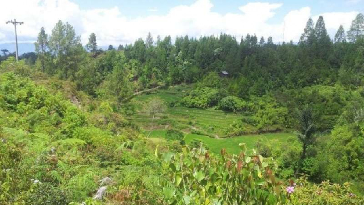 Pengukuran Hutan Kemasyarakatan dinilai tumpang tindih, dua kelompok tani Buton saling ancam Pengukuran Hutan Kemasyarakatan dinilai tumpang tindih, dua kelompok tani Buton saling ancam