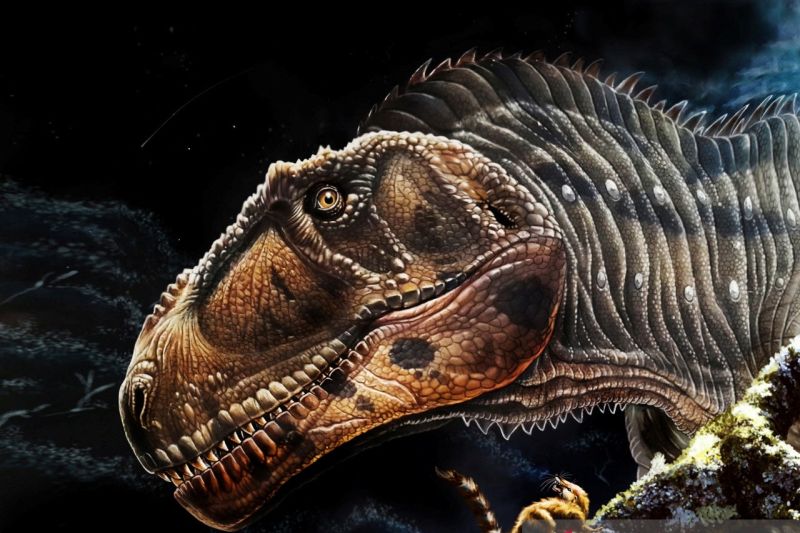 Dinosaurus gargoyle Argentina, petunjuk evolusi hewan purba Dinosaurus gargoyle Argentina, petunjuk evolusi hewan purba