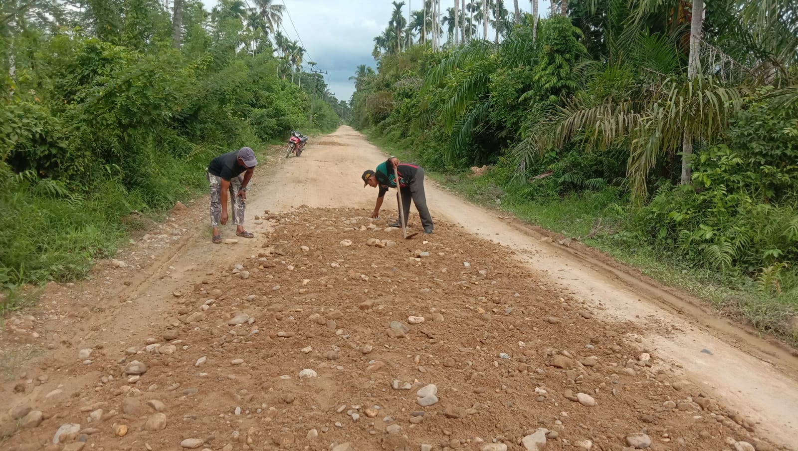 Tak kunjung diperbaiki, warga Desa Bukit Linteung, Aceh Utara perbaiki jalan berlubang secara swadaya Tak kunjung diperbaiki, warga Desa Bukit Linteung, Aceh Utara perbaiki jalan berlubang secara swadaya