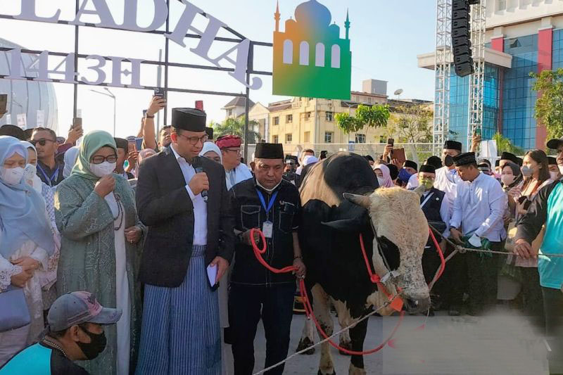 Pengamat sebut sapi kurban Anies untuk JIS sarat makna politik Pengamat sebut sapi kurban Anies untuk JIS sarat makna politik
