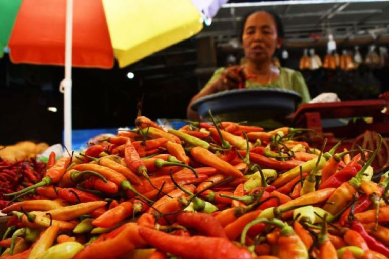 Pasokan melimpah, harga cabai mulai turun ke Rp80.000 per kg