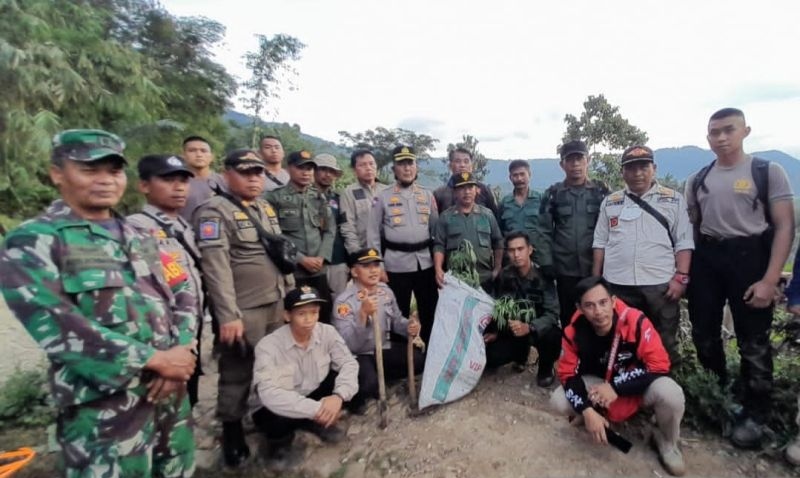Polisi tetapkan enam tersangka pemilik ladang ganja di Gunung Karuhun