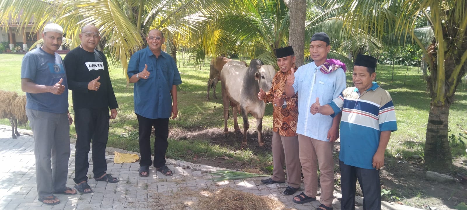 Plt Bupati Langkat dan keluarga kurban tujuh ekor sapi Plt Bupati Langkat dan keluarga kurban tujuh ekor sapi