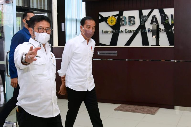 Presiden yakin Indonesia segera capai swasembada beras Presiden yakin Indonesia segera capai swasembada beras