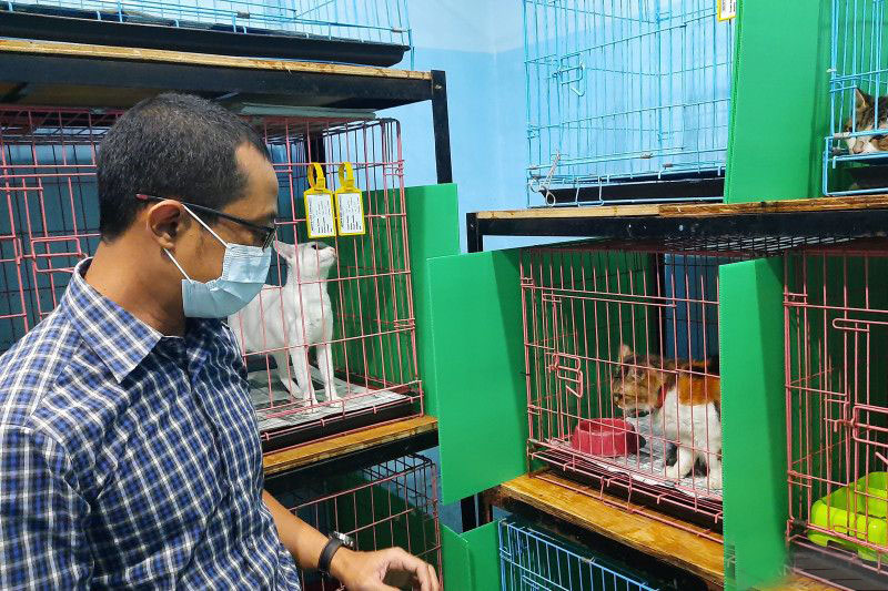 Sudin KPKP Jaksel gelar sterilisasi kucing secara gratis Sudin KPKP Jaksel gelar sterilisasi kucing secara gratis