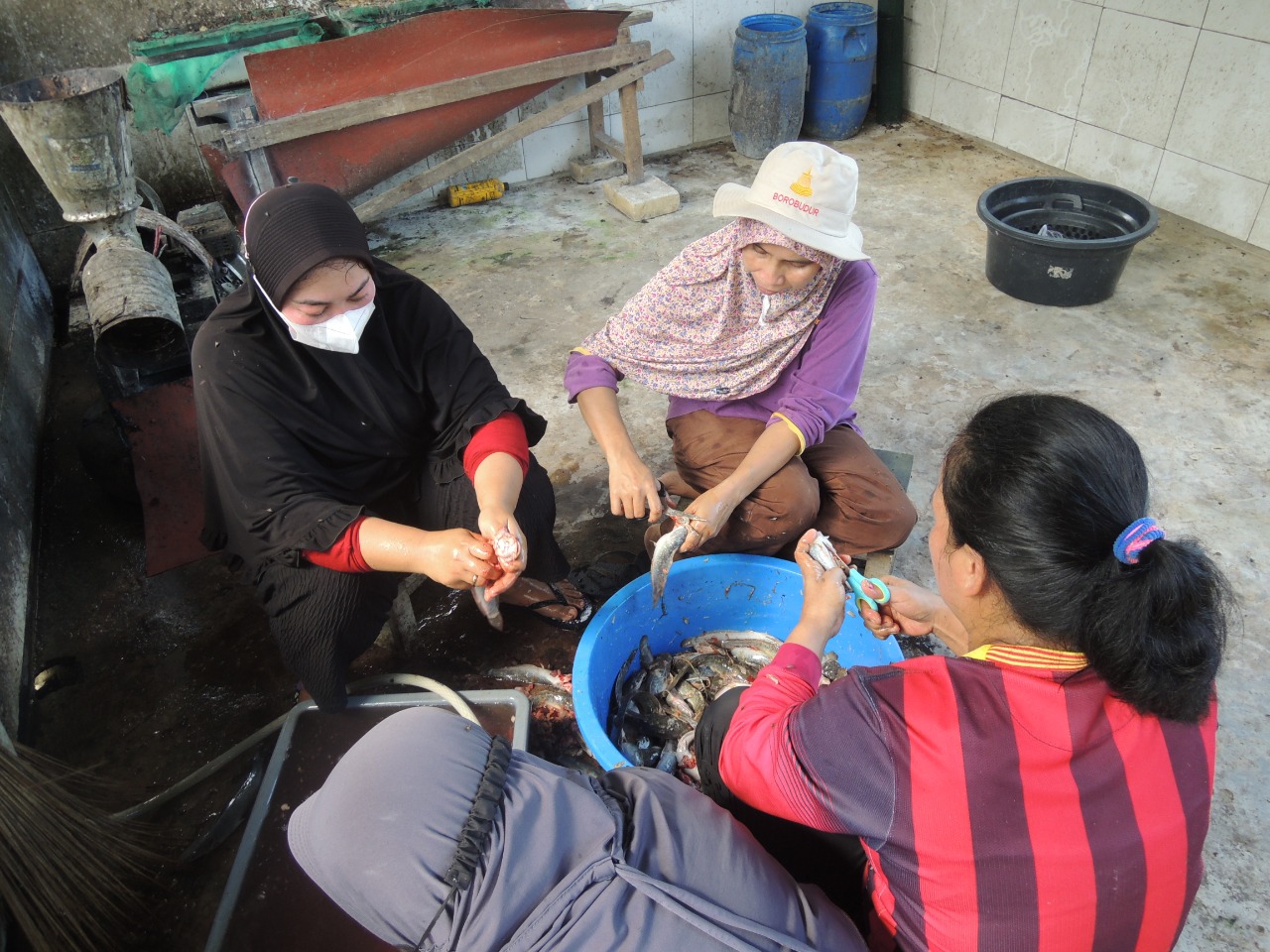 Berdayakan ibu-ibu, kelompok Petratonik panen lele Berdayakan ibu-ibu, kelompok Petratonik panen lele
