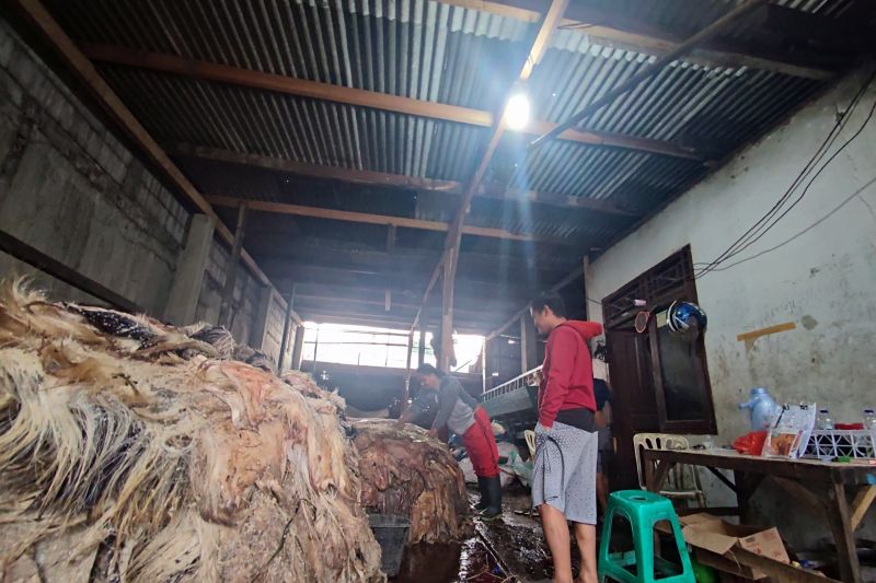 Pengepul kulit di Jakarta dulang rupiah setelah Iduladha