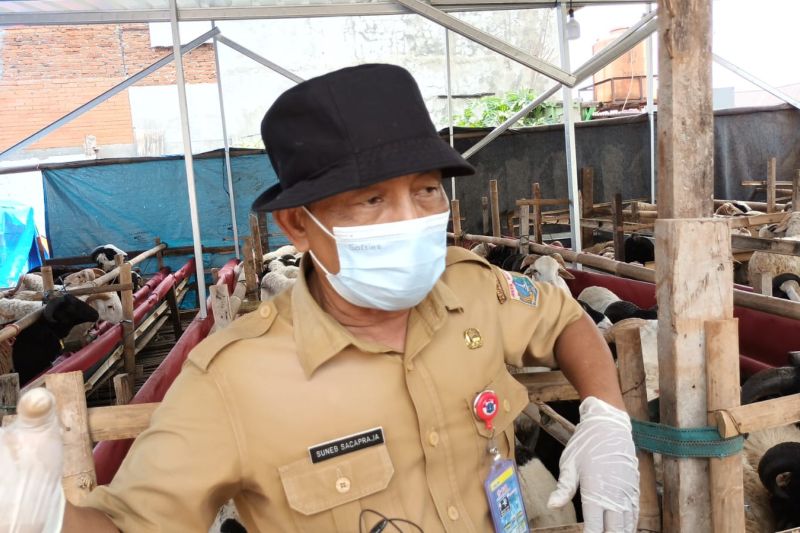 Petugas tingkatkan pemeriksaan hewan kurban di Pasar Rebo Petugas tingkatkan pemeriksaan hewan kurban di Pasar Rebo