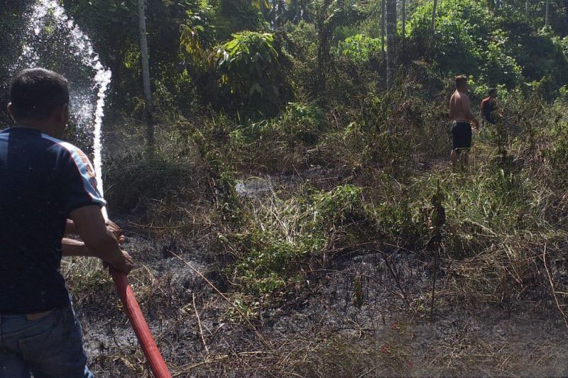 Satu hektare lahan di Pidie Jaya terbakar di tengah kemarau basah Satu hektare lahan di Pidie Jaya terbakar di tengah kemarau basah