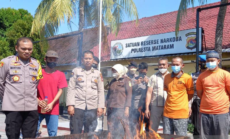 Polresta Mataram musnahkan paket kiriman ganja dari Pekanbaru