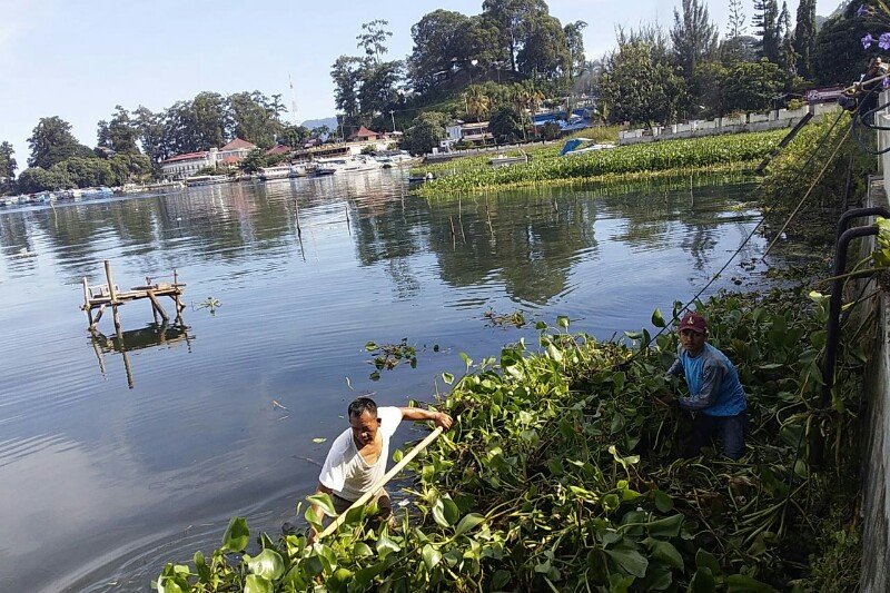 Eceng gondok dan konsep destinasi wisata berkelanjutan di Danau Toba Eceng gondok dan konsep destinasi wisata berkelanjutan di Danau Toba