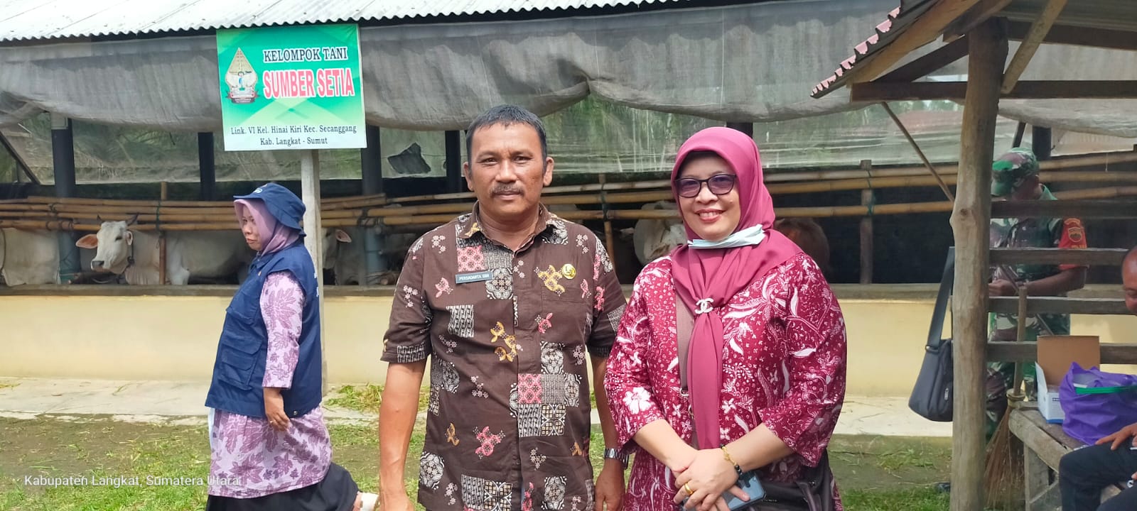 Sebanyak 14.952 ekor sapi di Sumut terjangkit PMK Sebanyak 14.952 ekor sapi di Sumut terjangkit PMK