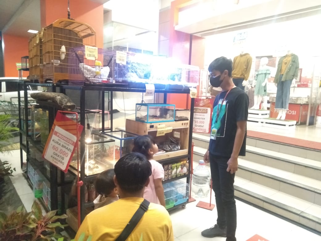 Jual hewan reptil di swalayan sambil mengedukasi pencinta hewan Jual hewan reptil di swalayan sambil mengedukasi pencinta hewan