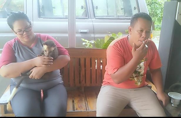 Semakin langka, Komunitas MLS di Subang lestarikan musang Semakin langka, Komunitas MLS di Subang lestarikan musang