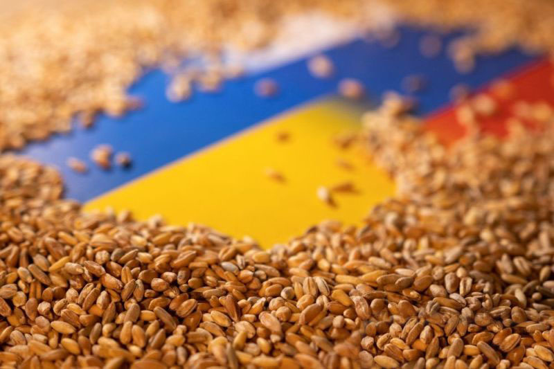 Benih-benih tanaman Ukraina terancam punah akibat perang Benih-benih tanaman Ukraina terancam punah akibat perang