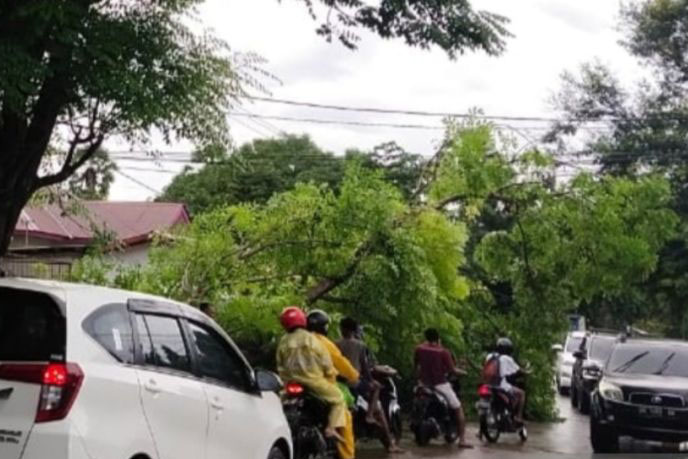 BMKG: Waspadai hujan-petir di NTT akibat kemunculan daerah siklonik BMKG: Waspadai hujan-petir di NTT akibat kemunculan daerah siklonik