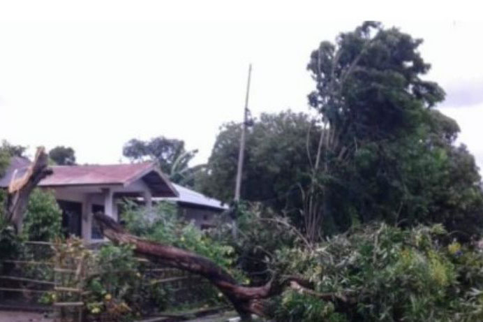 BMKG: Waspadai angin kencang di NTT akibat tekanan rendah