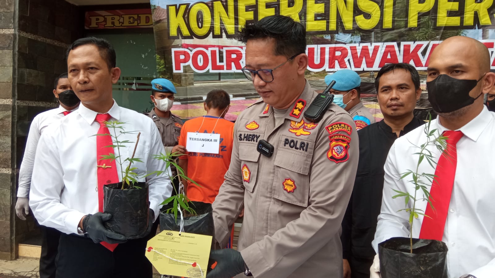 Satres Narkoba Polres Purwakarta tangkap bandar dan pengedar ganja Satres Narkoba Polres Purwakarta tangkap bandar dan pengedar ganja
