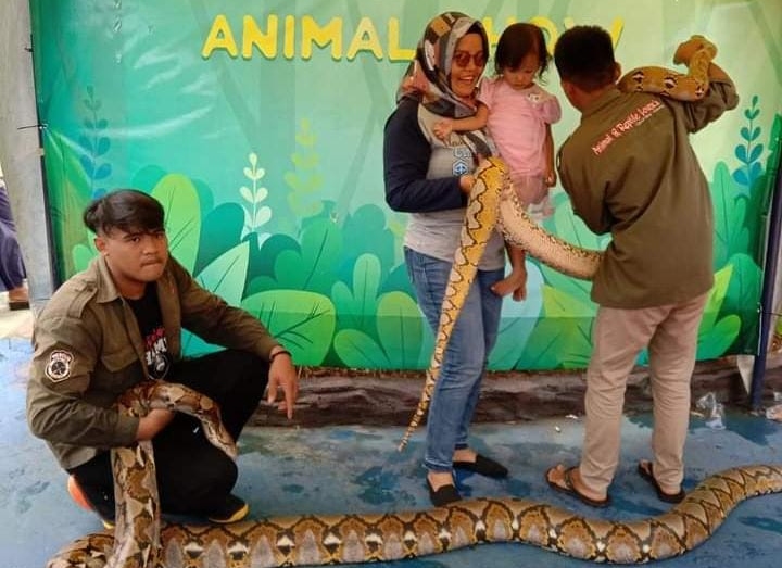Komunitas ARAL CS Subang berikan edukasi reptil pada masyarakat Komunitas ARAL CS Subang berikan edukasi reptil pada masyarakat