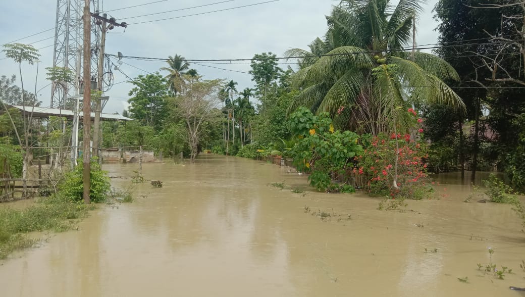 Intesitas hujan tinggi, 10 desa di Aceh Utara kembali diterjang banjir Intesitas hujan tinggi, 10 desa di Aceh Utara kembali diterjang banjir